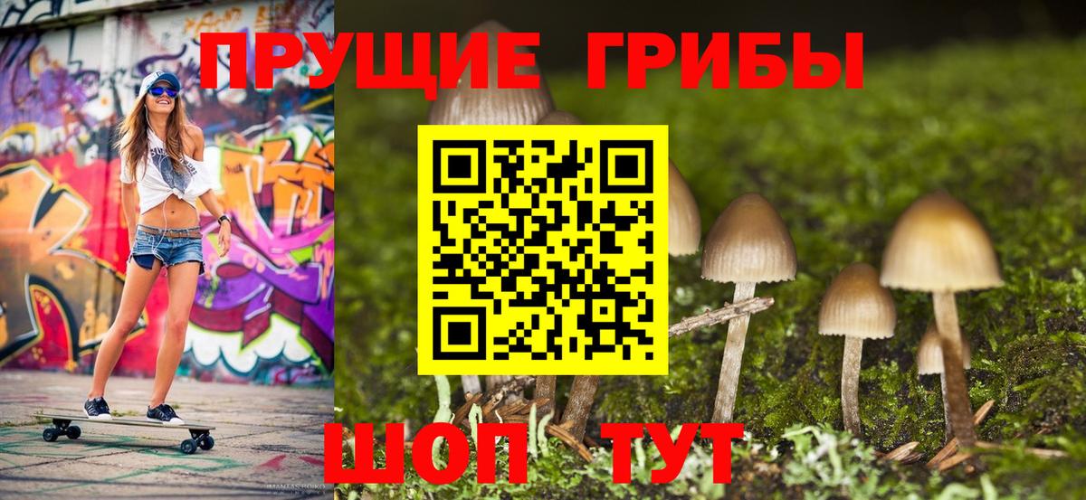 Галлюциногенные грибы мухоморы  Вход с VPN  Дзержинский  Галлюциногенные грибы GOLDEN TEACHER 